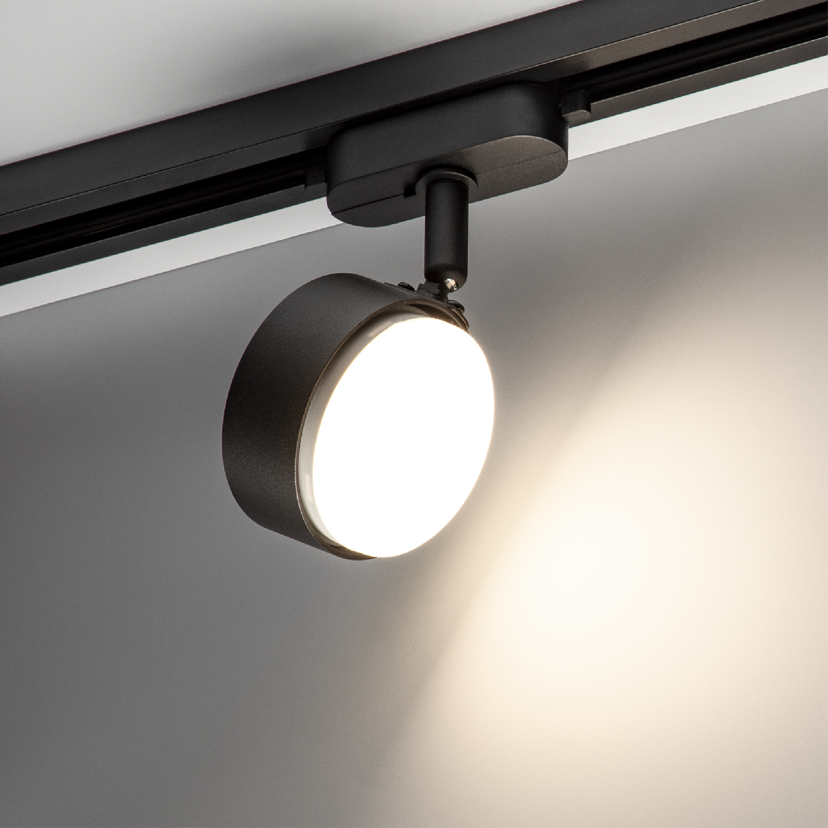 Трековый однофазный светильник Ritter Artline 59924 5