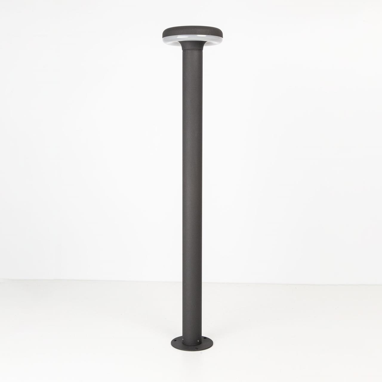 Уличный светодиодный светильник Citilux CLU01B