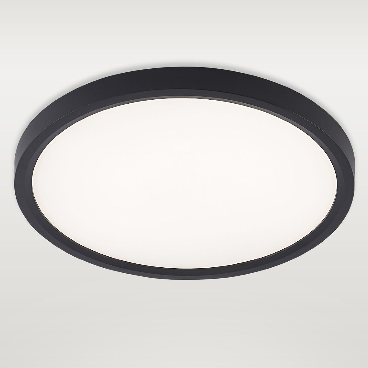 Потолочный светильник Natali Kovaltseva Plain LED LAMPS 81114/2C