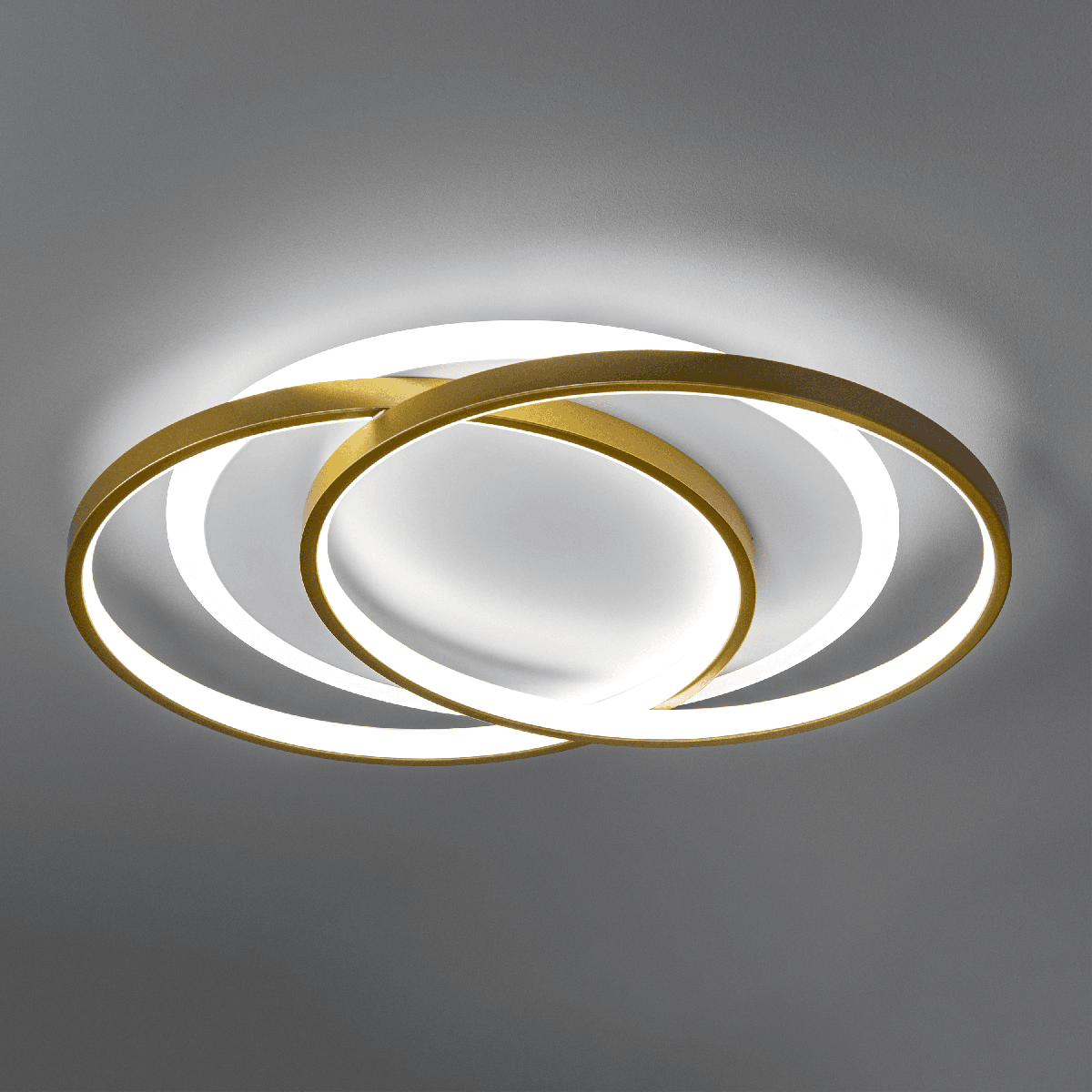 Потолочная люстра Ritter Snello 51624 2