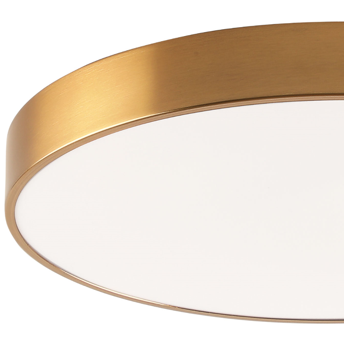 Потолочный светильник Zortes Tortty ZRS.02566.96