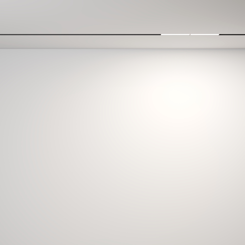 Трековый магнитный светильник Maytoni Technical Magnetic track system Exility Parete TR106-2-12W4K-B