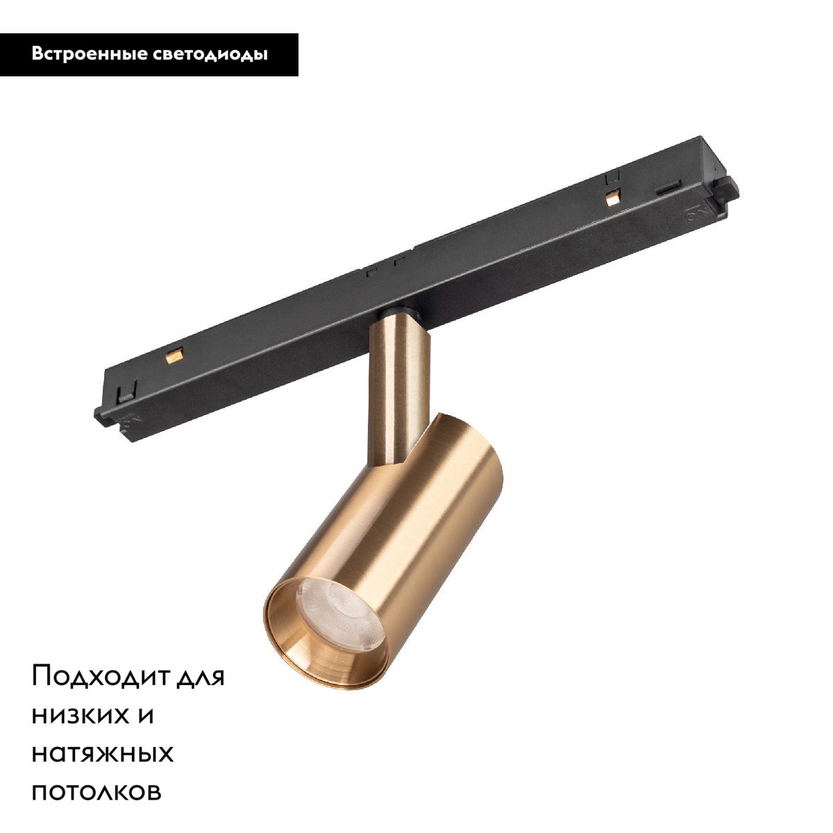 Трековый магнитный светильник Arlight MAG-ORIENT-SPOT-R35-6W Warm3000 (GD, 24 deg, 48V, DALI) 040888