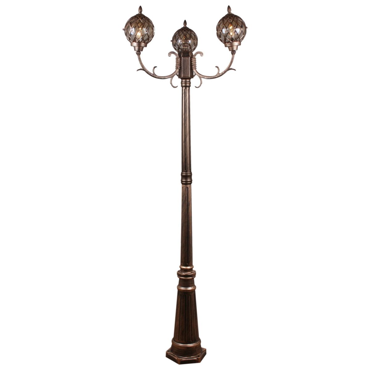 Парковый светильник Reluce 09018-0.7-003SL 2.0m BKG