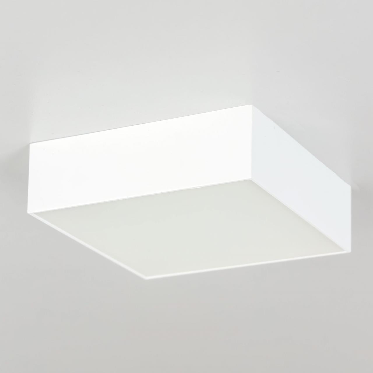 Накладной светодиодный светильник Citilux Тао CL712X120N