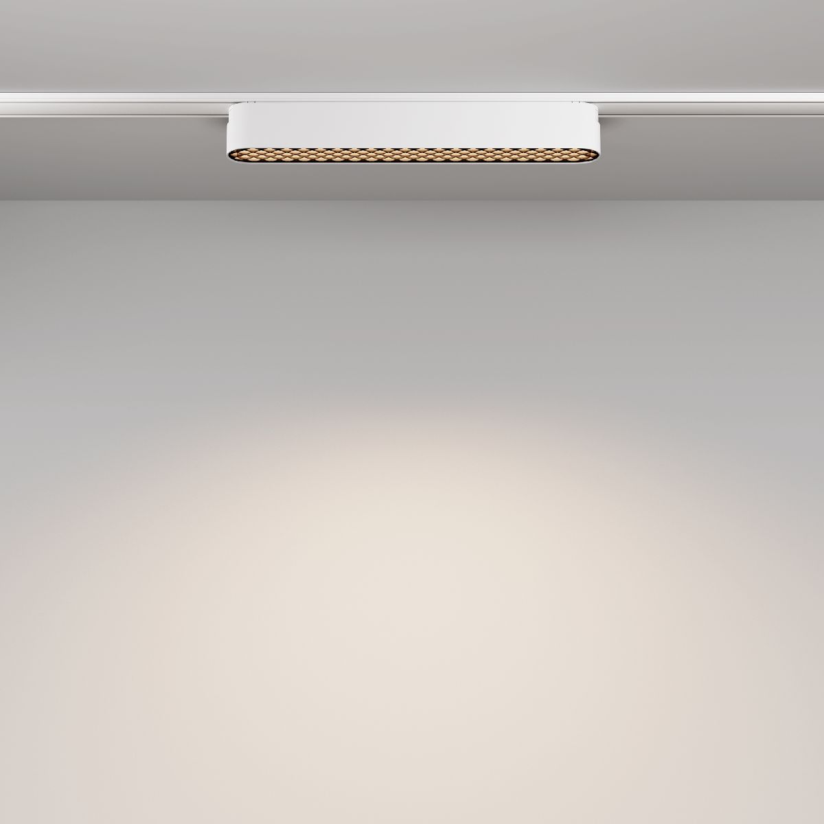 Трековый магнитный светильник Maytoni Basis Grid TR084-1-12W4K-W