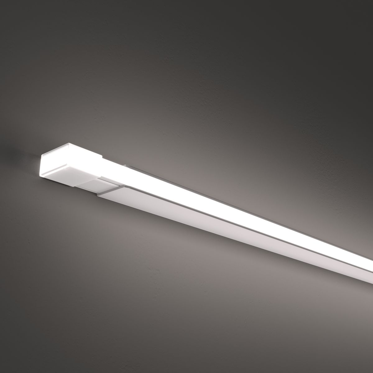 Гибкий неон Maytoni Led strip 24В 10Вт/м 6000K 5м IP67 432031