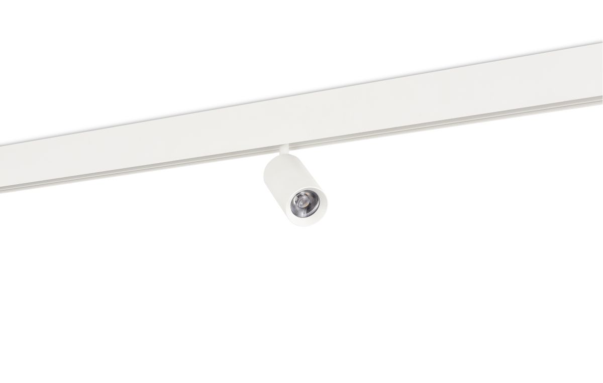 Трековый светильник Donolux Alpha DL20295WW10WDIM