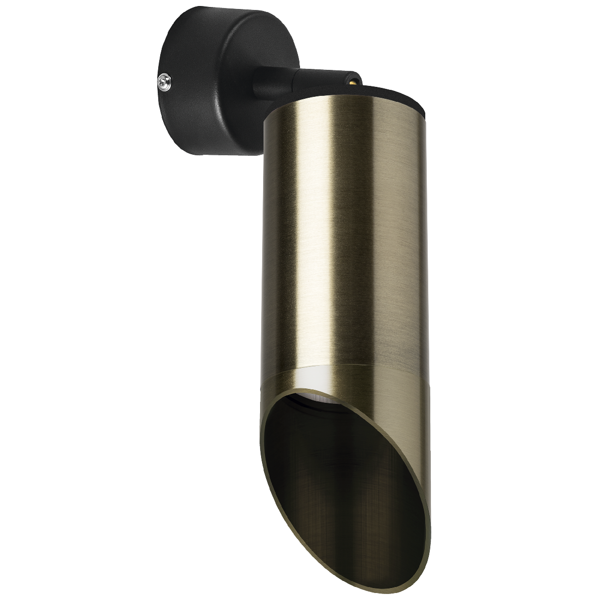 Встраиваемый спот Lightstar Rullo RB43130 (214431+590007+201431)