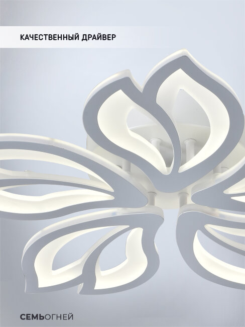 Потолочная люстра Seven Fires Pauli SF7097/5C-WT