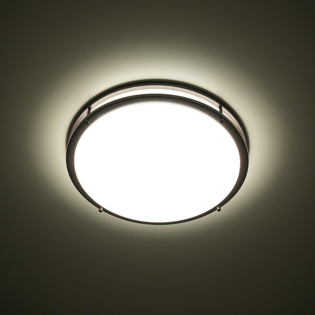 Настенно-потолочный светильник Citilux Бостон CL709505N в Москве