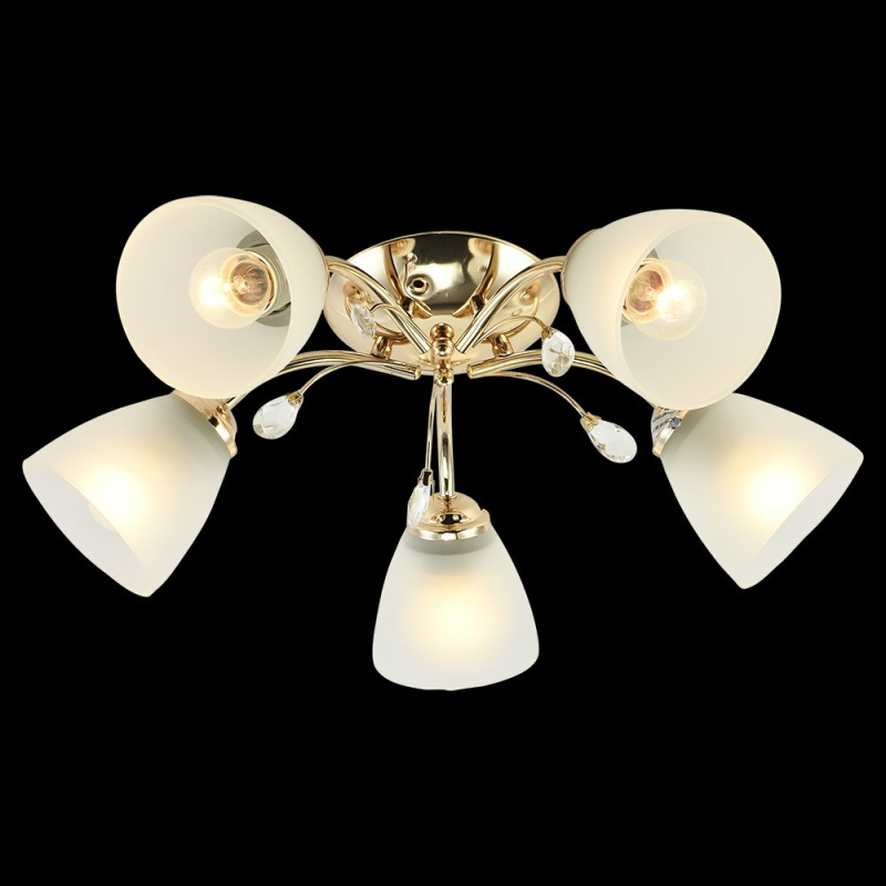 Потолочная люстра Reluce 01346-0.3-05 FGD