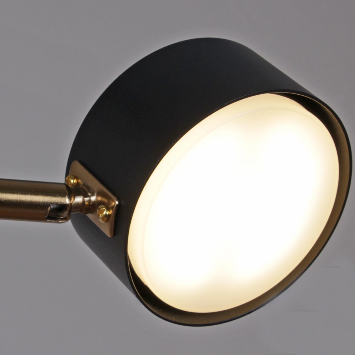 Люстра на штанге Reluce 06660-0.3-08 BK+COP GX53