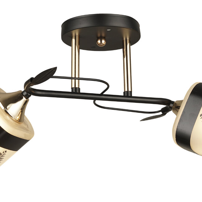 Потолочная люстра Wedo Light Amisa 66733.01.69.02