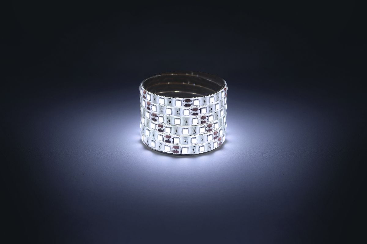 Светодиодная лента Эра 12В 5050 14,4Вт/м 6500K 5м IP65 LS5050-14,4-60-12-6500K-IP65-1 year-5m Б0059914