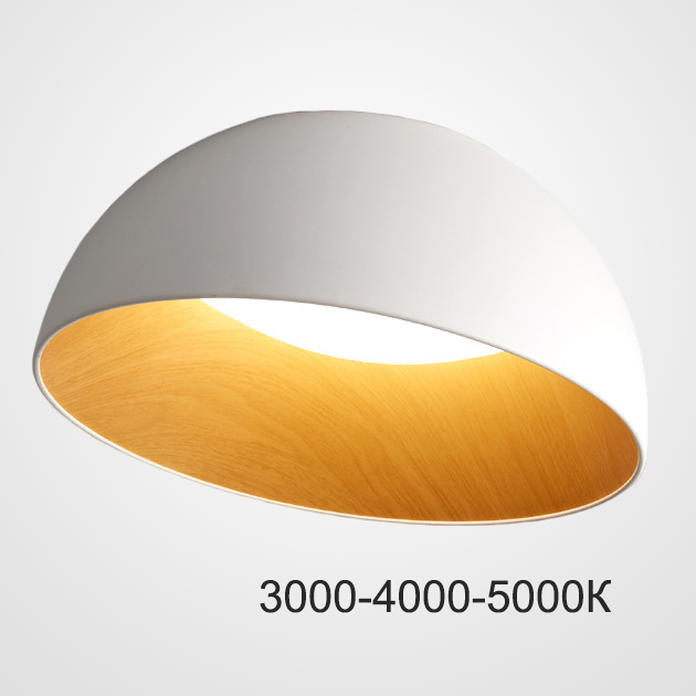 Потолочный светильник ImperiumLoft Bara 223999-23