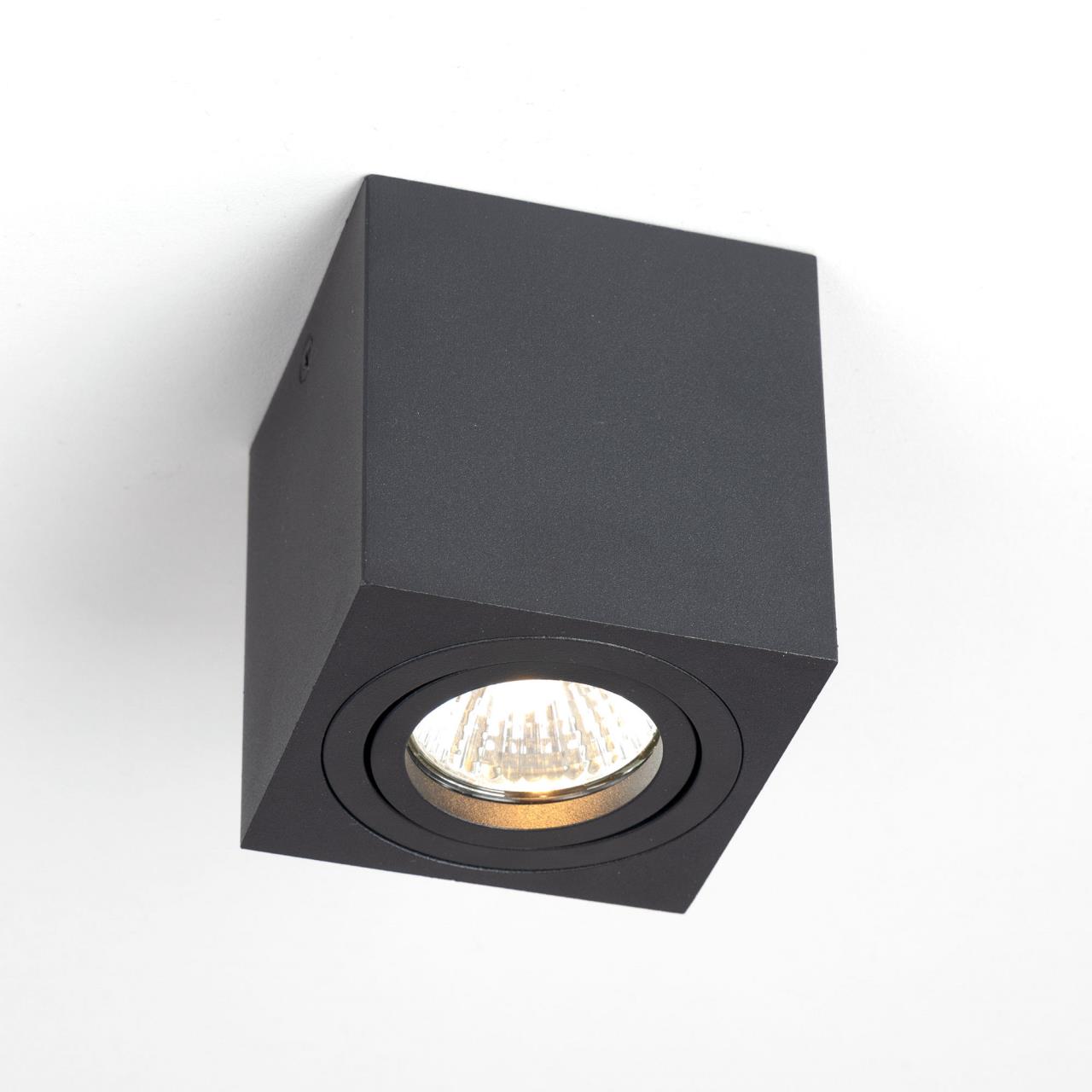 Накладной светильник Citilux Дюрен CL538213 в Москве