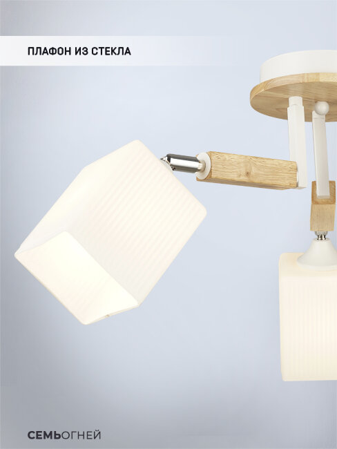 Потолочная люстра Wedo Light Melvill WD3505/3C-WT