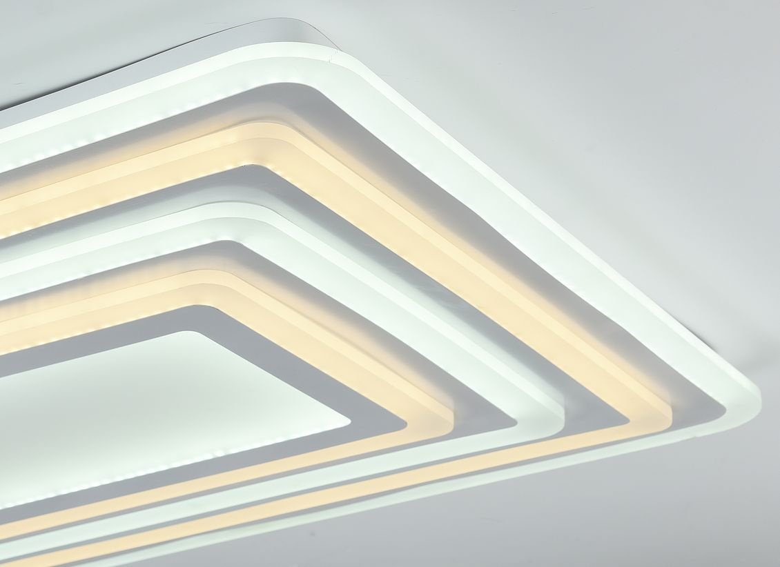 Потолочный светодиодный светильник F-Promo Ledolution 2277-10C