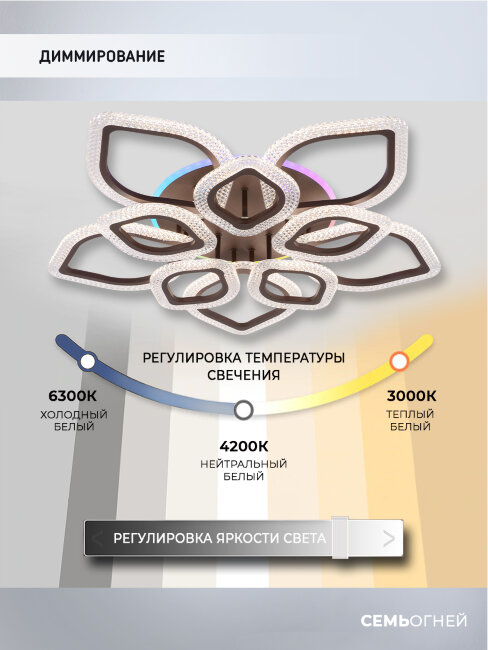Потолочная люстра Seven Fires Dzhergo SF5046/11C-CF-RGB