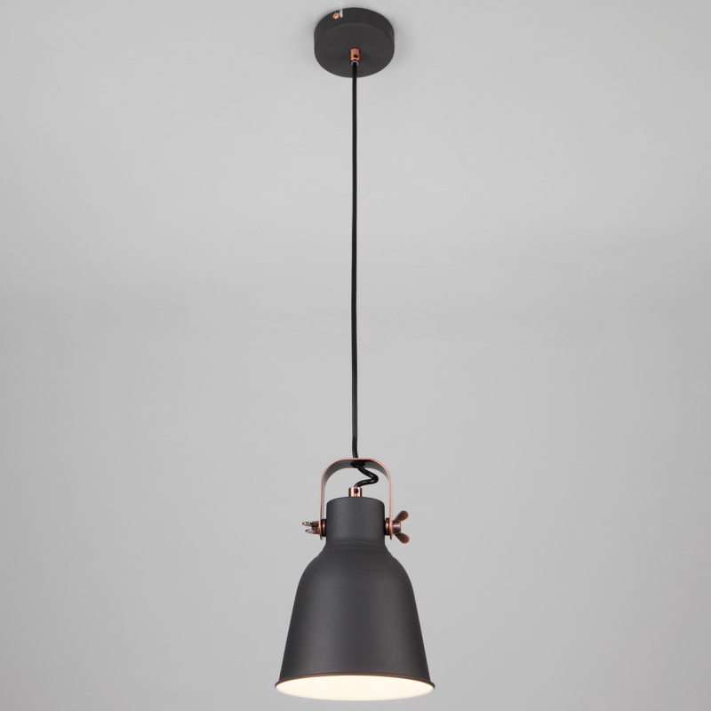 Подвесной светильник Eurosvet Projector 50083/1 черный