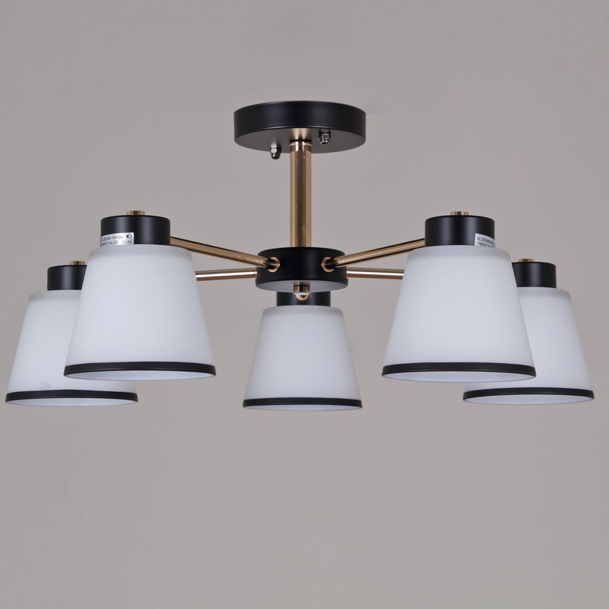 Люстра на штанге Reluce 30560-0.3-05 BK+FG