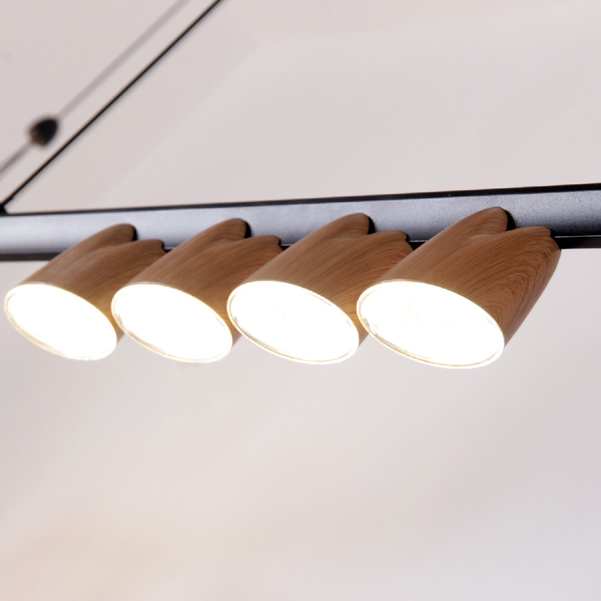 Подвесная люстра Favourite Interline 4266-10P