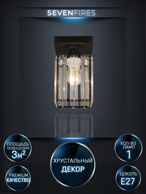 Потолочный светильник Wedo Light Netta WD3519/1C-BK-CL