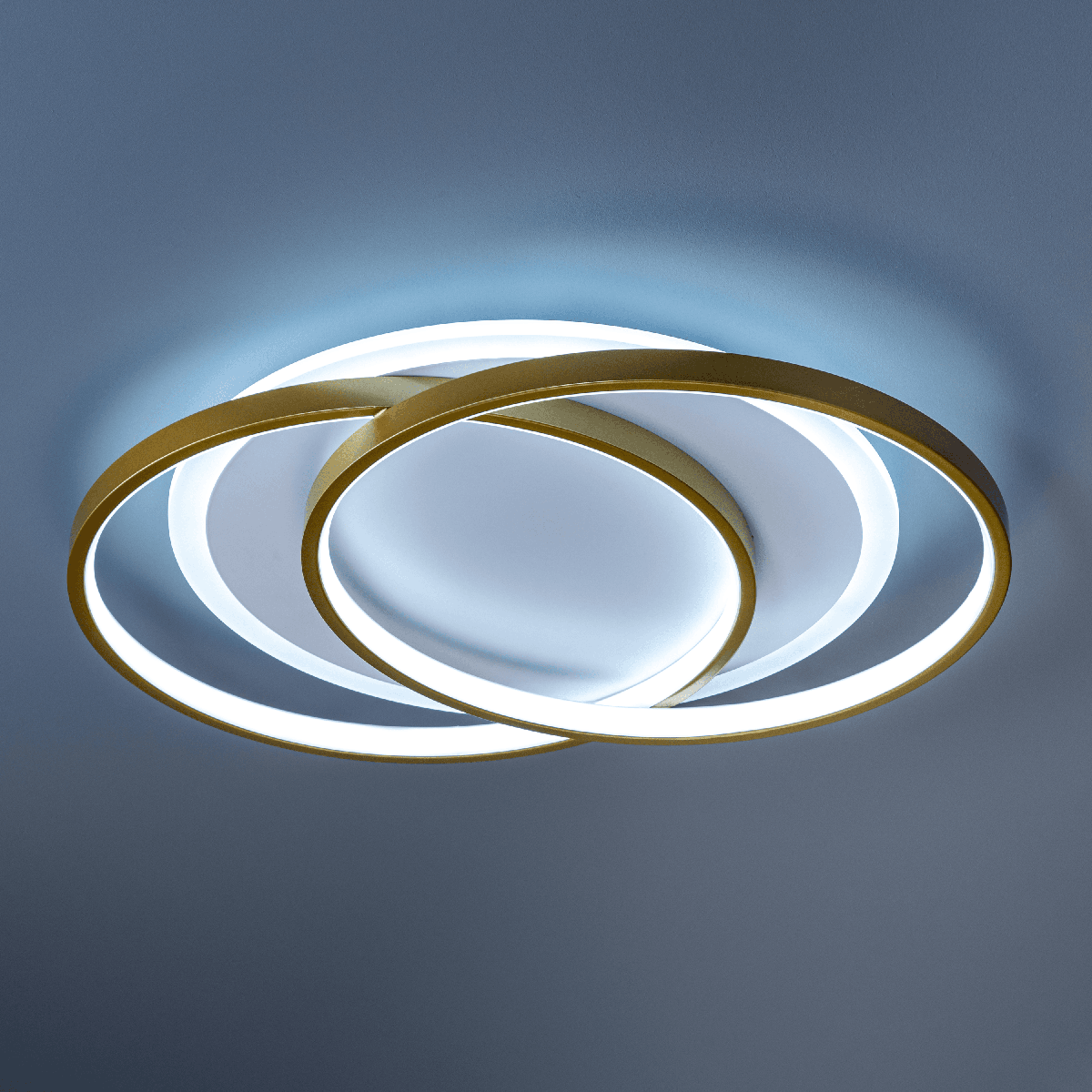 Потолочная люстра Ritter Snello 51624 2