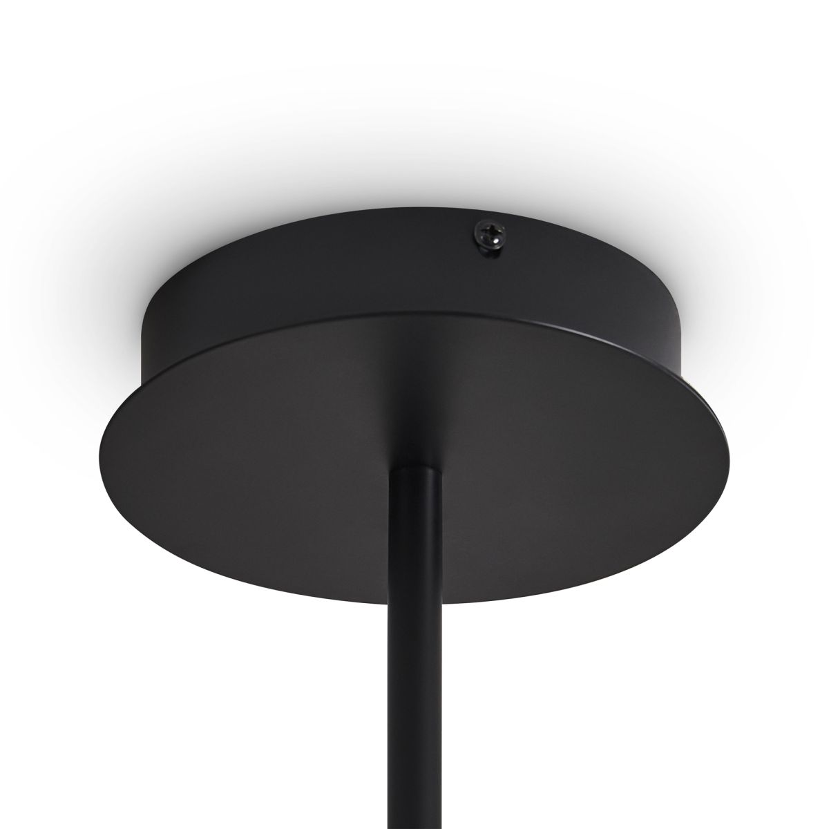 Люстра на штанге Freya Ice FR5541CL-L30B