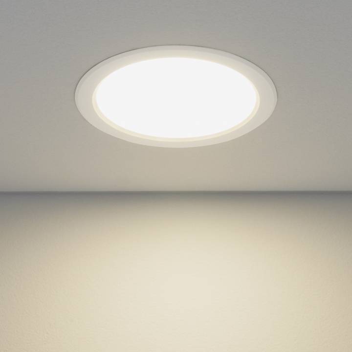 Вcтраиваемый светильник Elektrostandard Down Light 4690389055140