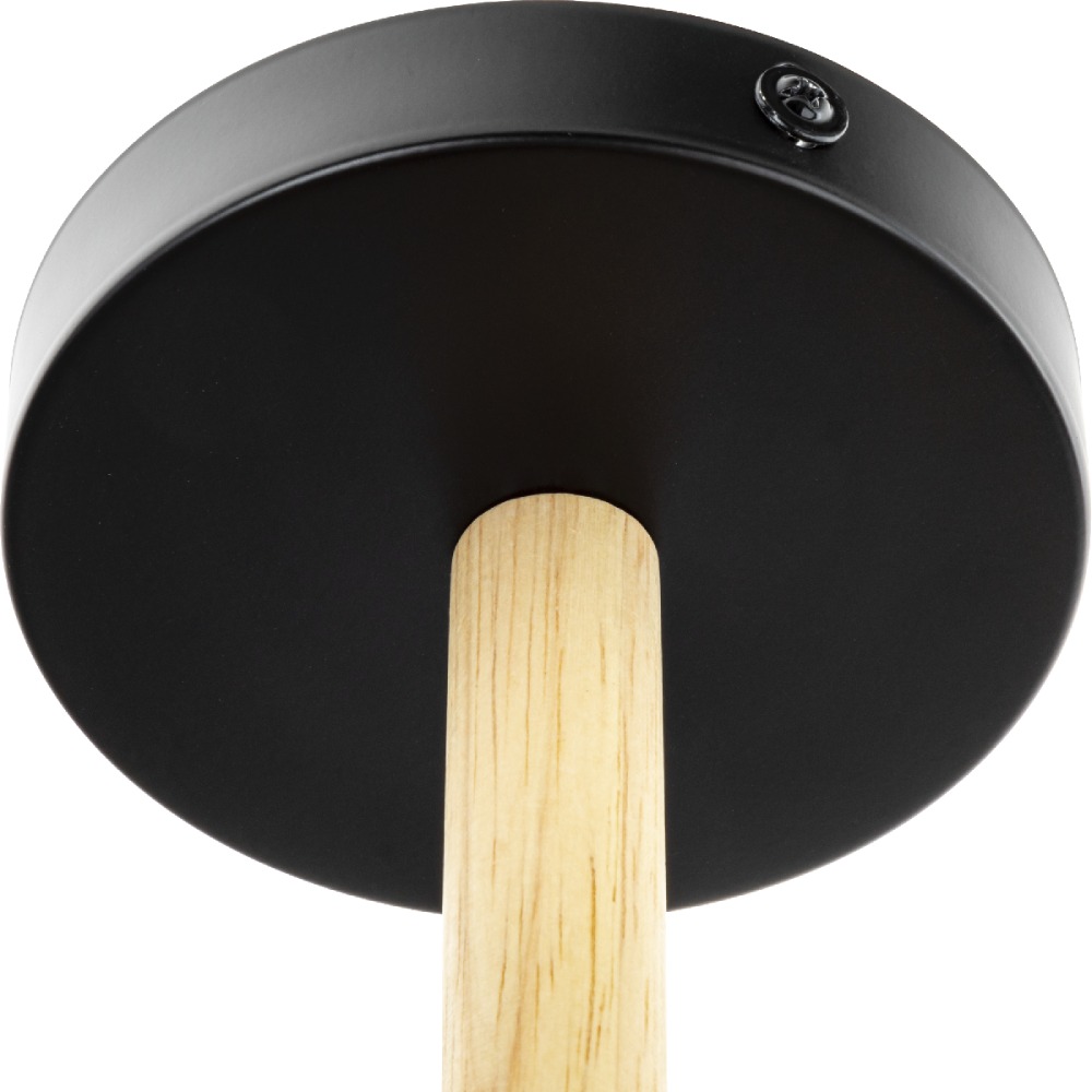 Люстра на штанге Ritter Volante 52448 9