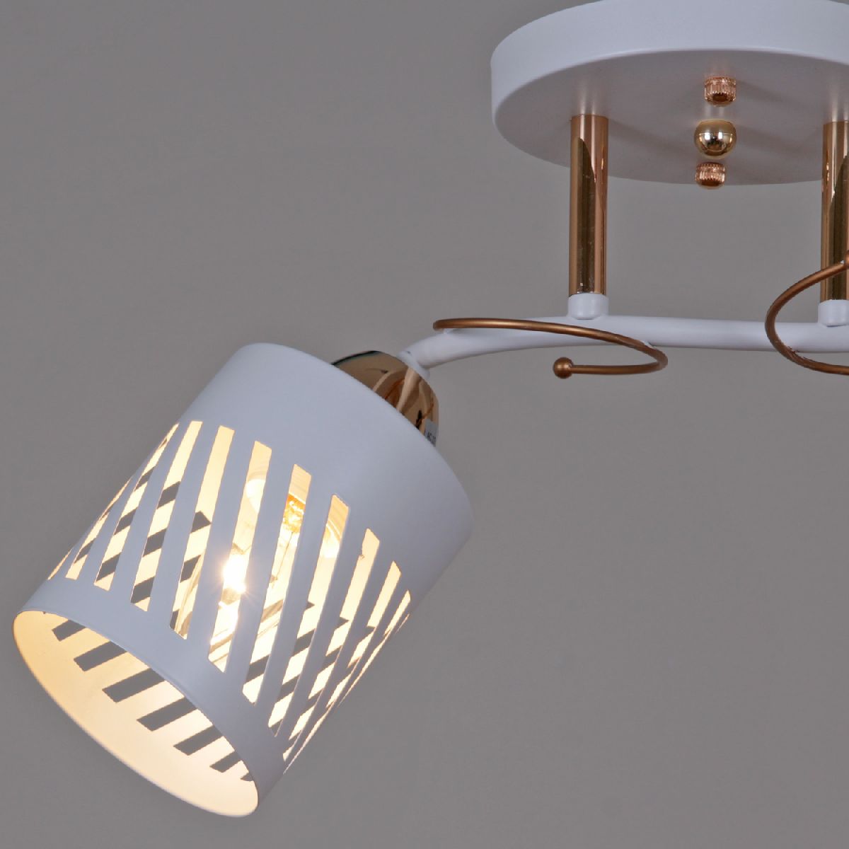 Потолочный светильник Reluce 08235-0.3-02 WT+FG