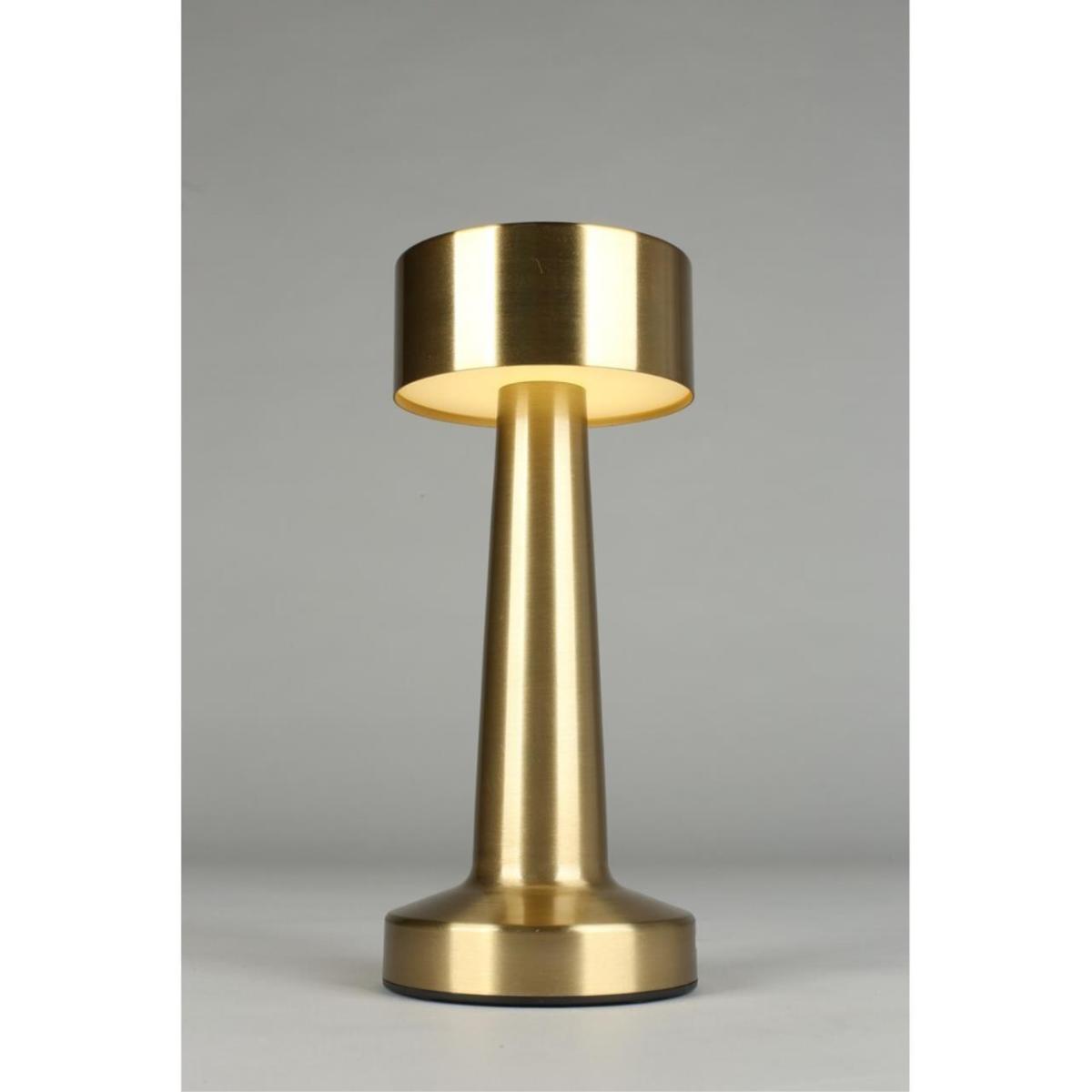 Настольная лампа Aployt Perrayn APL.671.04.01