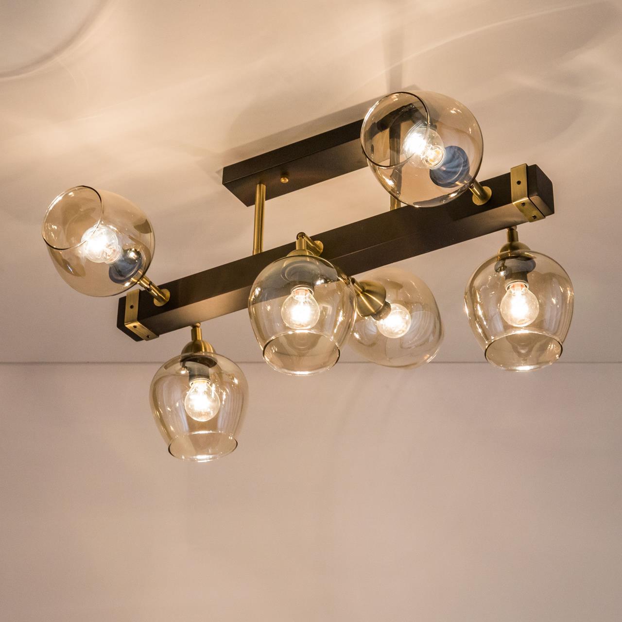 Люстра на штанге Citilux CL118165 в Москве