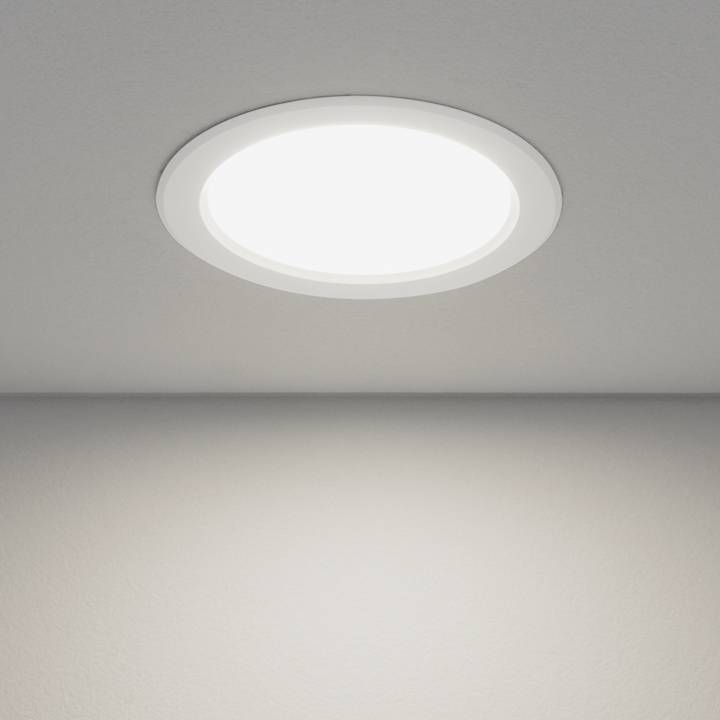 Вcтраиваемый светильник Elektrostandard Down Light 4690389055218