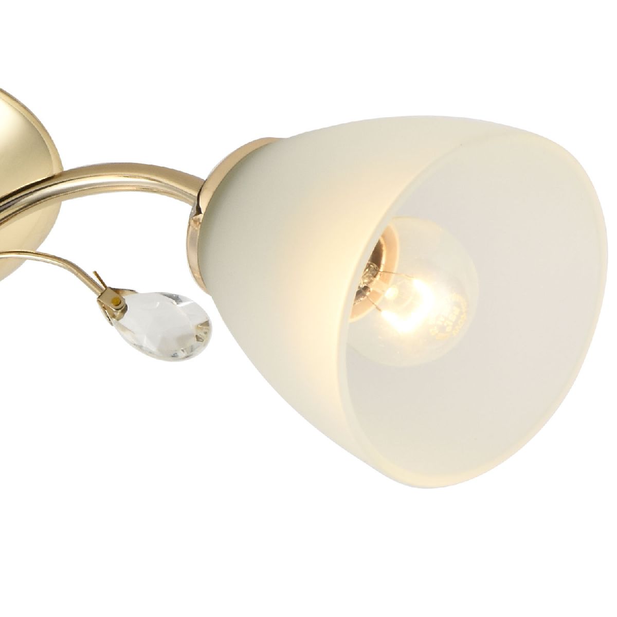 Потолочная люстра Reluce 01346-0.3-05 FGD