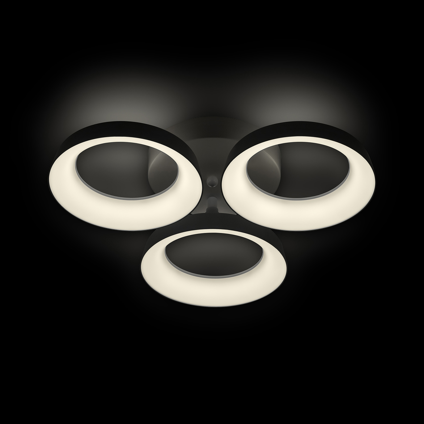 Потолочная люстра Ritter Verona 52012 2 в Москве