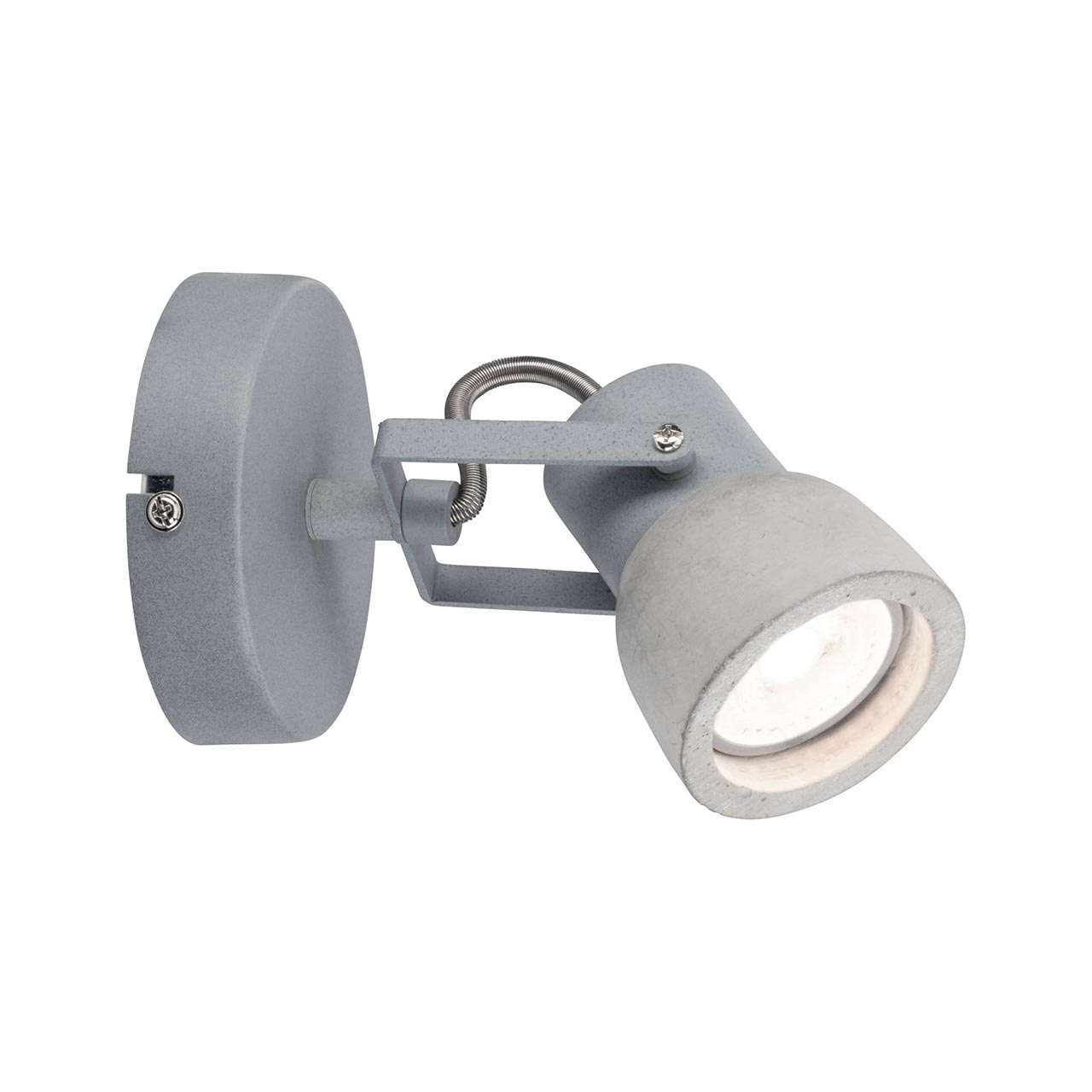 Спот Paulmann Ogma 66739