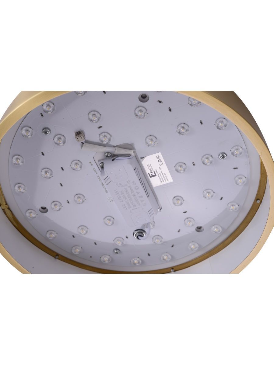 Потолочный светильник Zortes Monna ZRS.1209.10