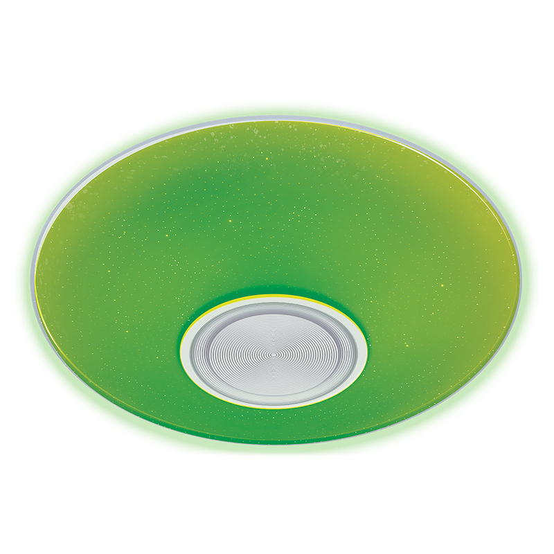 Потолочный светильник Ritter Dance 52340 6