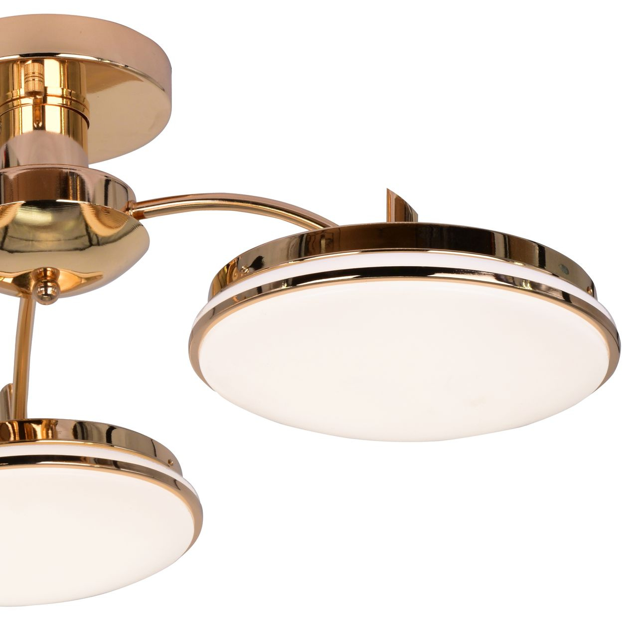 Потолочная светодиодная люстра F-Promo Ledante 2473-3P