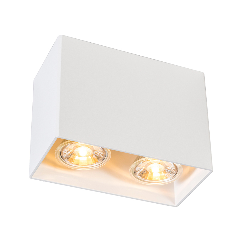 Потолочный светильник Zumaline RONBOX SL ACGU10-064