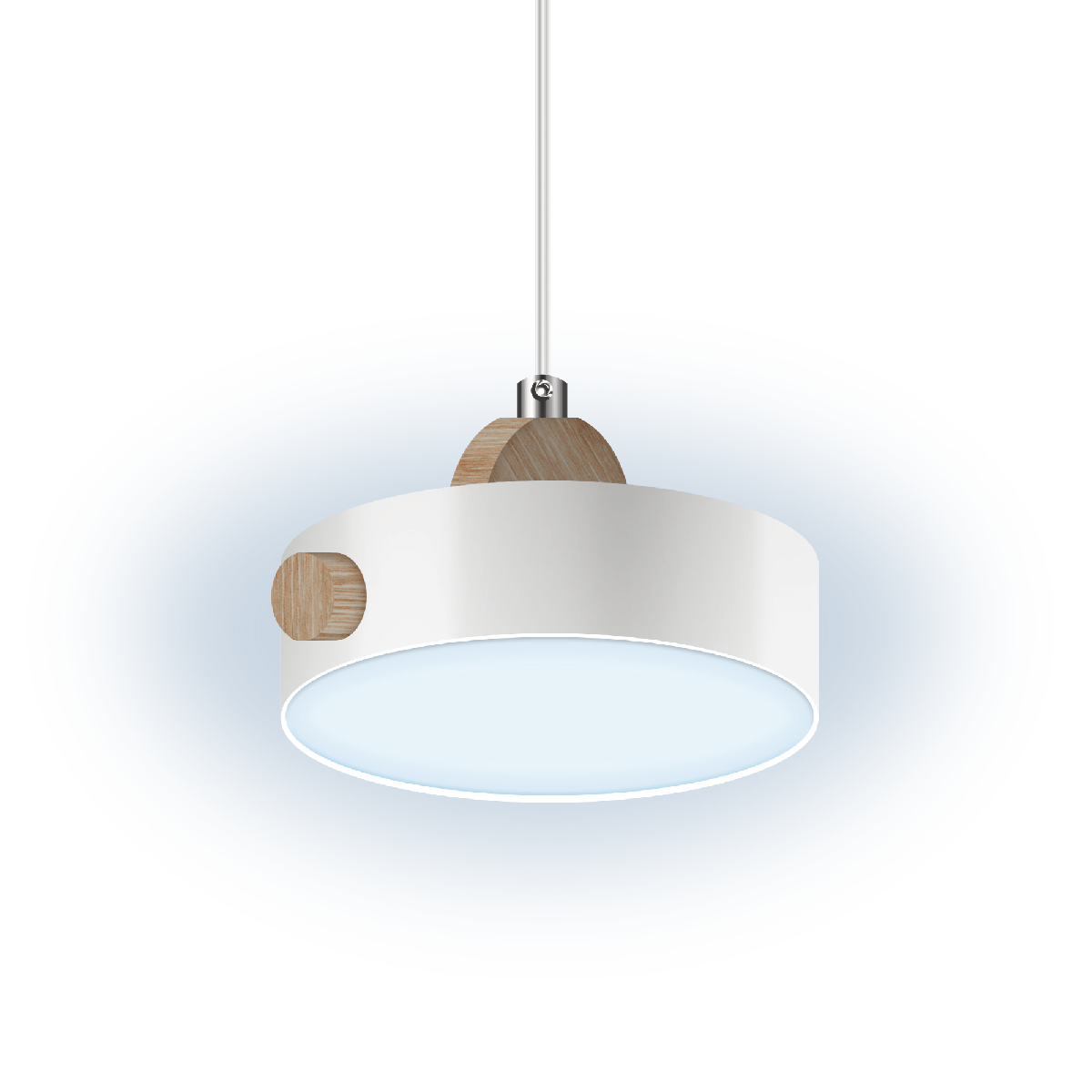 Подвесной светильник Ritter Scandia 52077 1