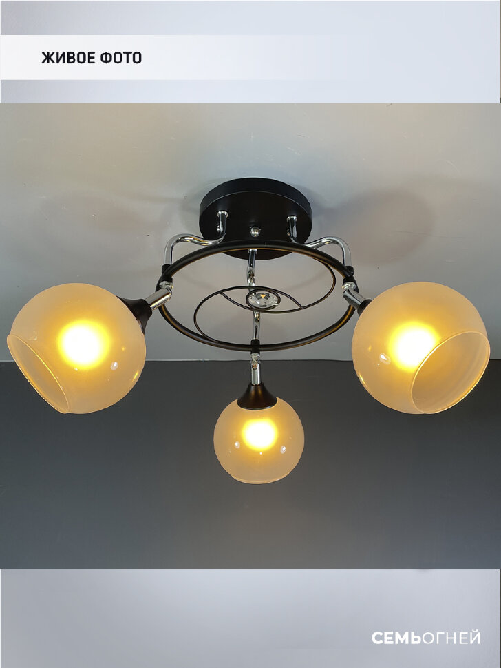 Потолочная люстра Wedo Light Zofi 66757.01.13.03