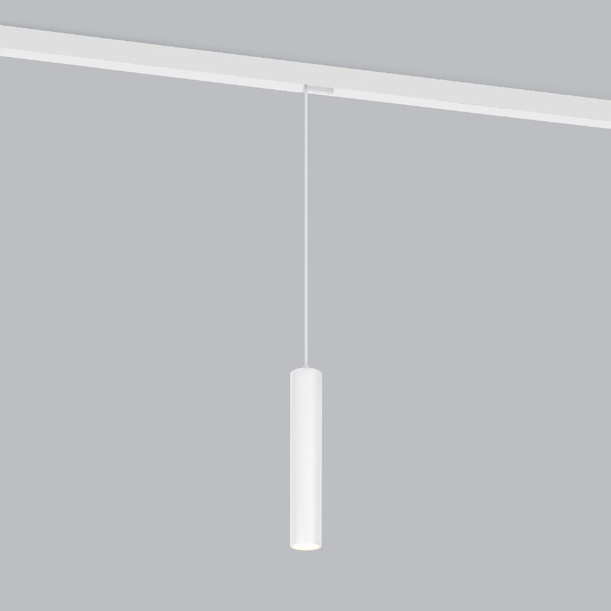 Трековый магнитный светильник Elektrostandard Slim magnetic 85014/014690389188718 a059184