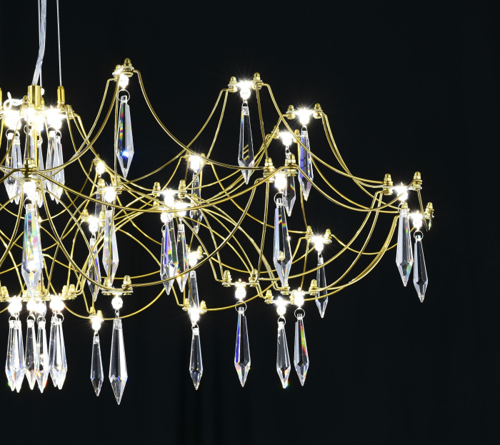 Подвесная люстра с пультом Myfar Ersilia MR2663-60P-76AP