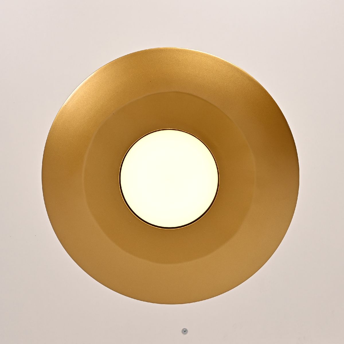 Подвесной светильник ImperiumLoft Rask 309065-26