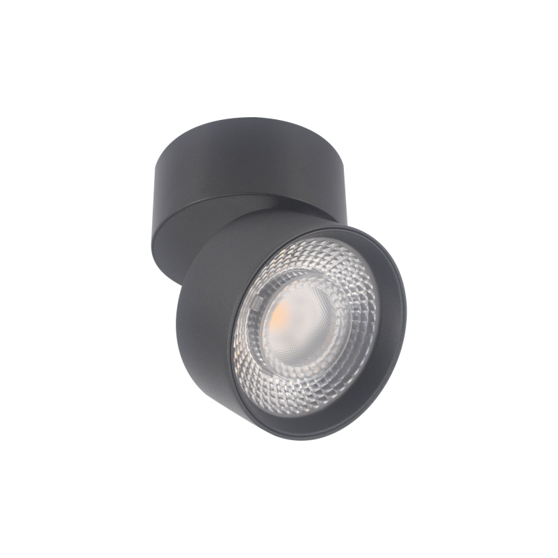 Потолочный cветильник Lumker Rink 010559