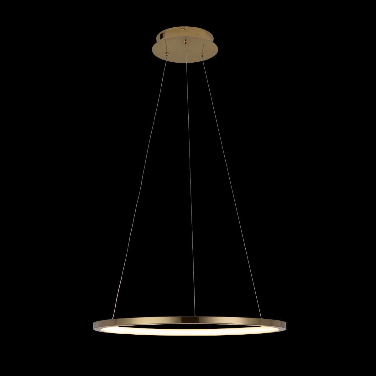 Подвесной светодиодный светильник Loft IT Ring 10014M